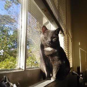 Meet your Posher, Gail